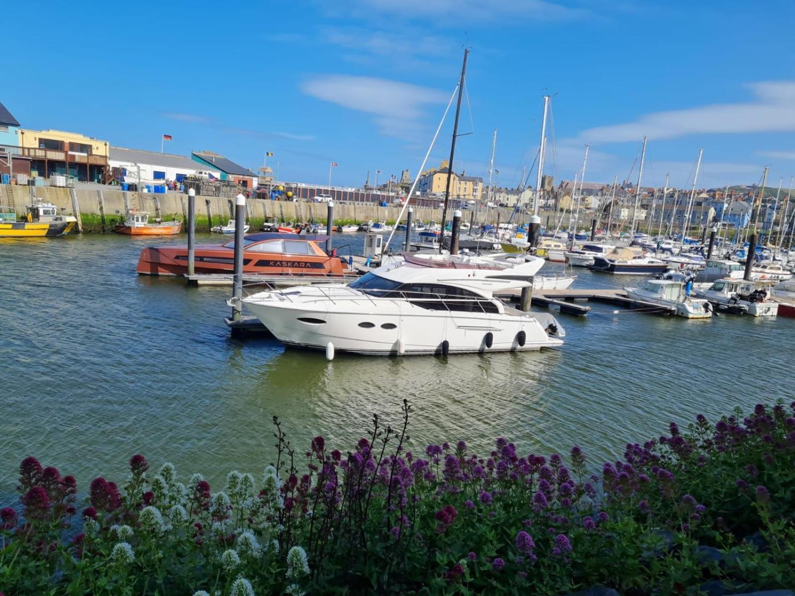 Spacious Luxury Escape With Sea Views And Pet Friendly At Clarach Bay Aberystwyth Exterior foto